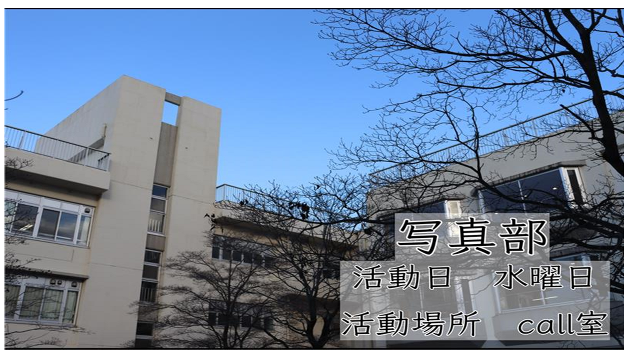 ２０２５新歓ポスター (2).PNG